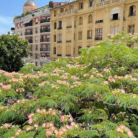 Apartment Elegant Appart' Pres Du Marche Liberation Nice